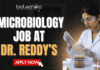 Microbiology Job at Dr. Reddy’s For Freshers & Experienced Candidates Microbiology Job at Dr. Reddy’s For Freshers & Experienced Candidates