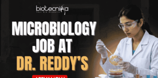 Microbiology Job at Dr. Reddy’s For Freshers & Experienced Candidates Microbiology Job at Dr. Reddy’s For Freshers & Experienced Candidates