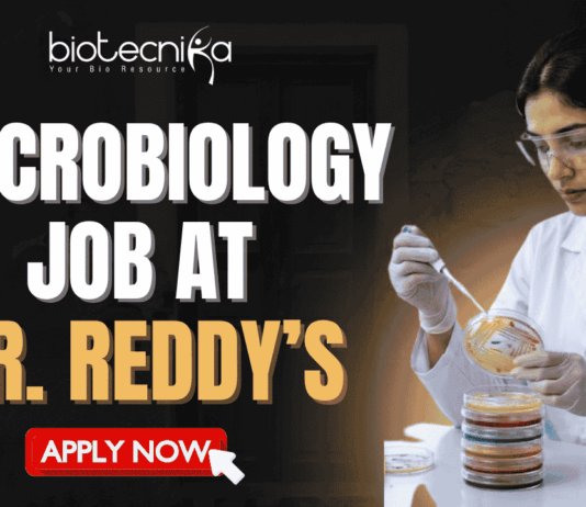 Microbiology Job at Dr. Reddy’s For Freshers & Experienced Candidates Microbiology Job at Dr. Reddy’s For Freshers & Experienced Candidates