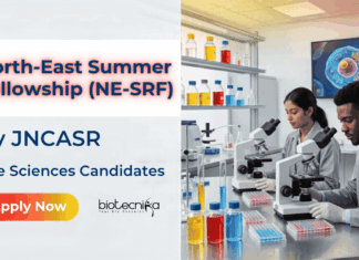 Govt Life Sciences Fellowship by JNCASR – Apply Now for NE-SRF 2026 NE-SRF 2026 by JNCASR. Life Sciences Career Aspirants Apply Now for this Fellowship with Hands-On Research Experience & More.