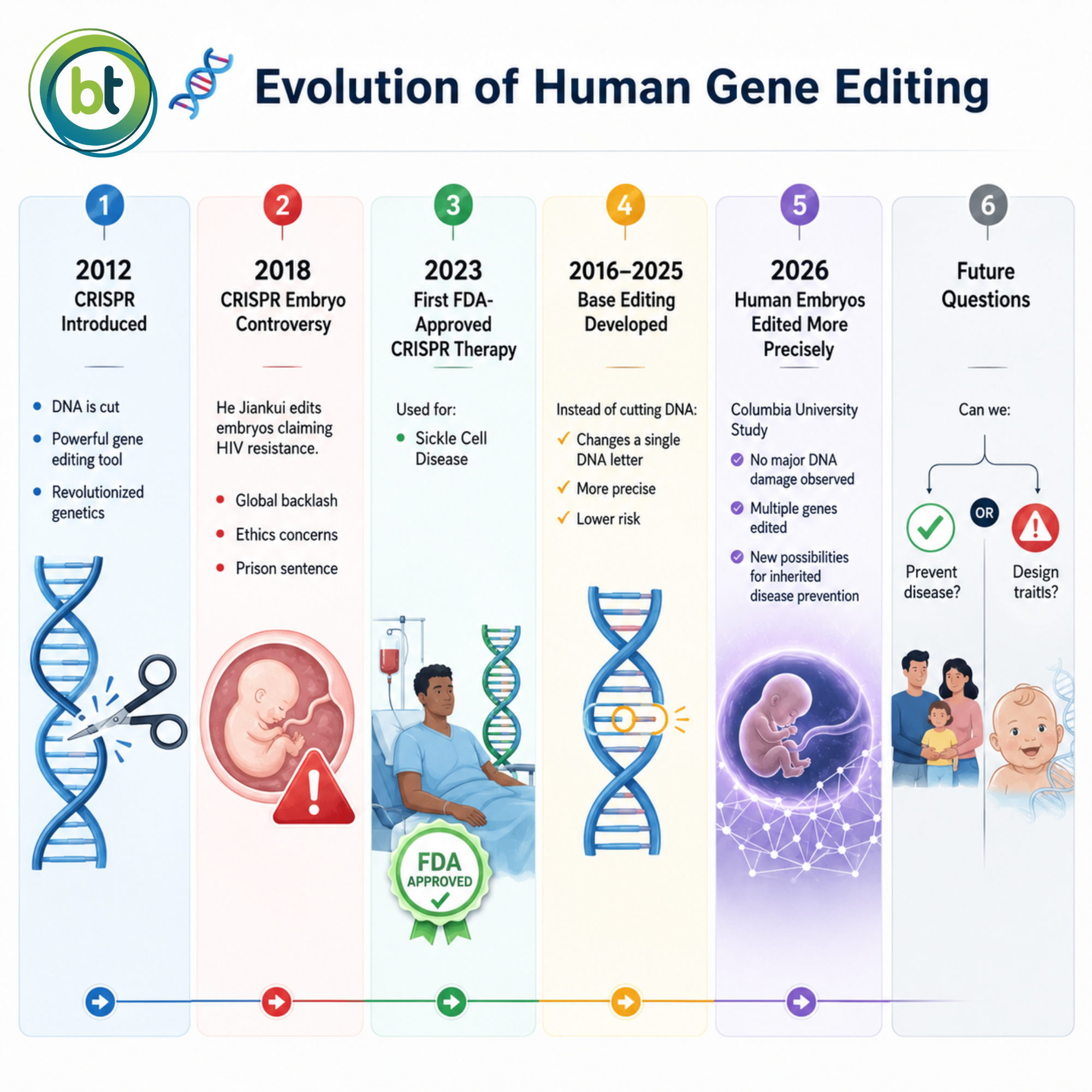 Scientists Successfully Edit Human Embryo Genes With Greater Accuracy