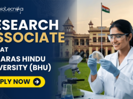 Research Associate Job At Banaras Hindu University (BHU). Apply for the latest Research Job at BHU. Research Associate Job with ₹42,000 monthly fellowship for Life Science, Biotech candidates.