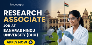 Research Associate Job At Banaras Hindu University (BHU). Apply for the latest Research Job at BHU. Research Associate Job with ₹42,000 monthly fellowship for Life Science, Biotech candidates.