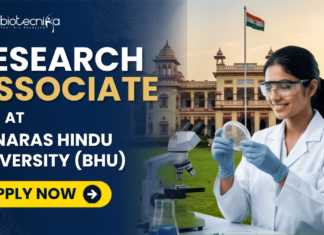 ₹42,000/Month Research Associate Job At Banaras Hindu University (BHU) Research Associate Job At Banaras Hindu University (BHU). Apply for the latest Research Job at BHU. Research Associate Job with ₹42,000 monthly fellowship for Life Science, Biotech candidates.