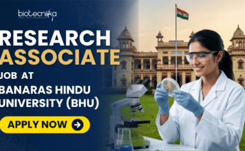 ₹42,000/Month Research Associate Job At Banaras Hindu University (BHU) Research Associate Job At Banaras Hindu University (BHU). Apply for the latest Research Job at BHU. Research Associate Job with ₹42,000 monthly fellowship for Life Science, Biotech candidates.