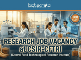 Research Job Vacancy at CSIR-CFTRI | Walk-in for Micro, Biotech & Food Science Candidates