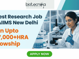 Research Job at AIIMS New Delhi Apply Online Now. Apply for the latest Research Job at AIIMS New Delhi. Junior Research Fellow vacancy with PhD opportunity, ₹37,000+HRA fellowship.