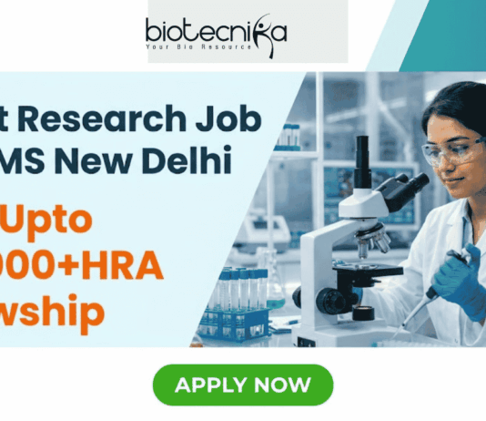 Research Job at AIIMS New Delhi Apply Online Now. Apply for the latest Research Job at AIIMS New Delhi. Junior Research Fellow vacancy with PhD opportunity, ₹37,000+HRA fellowship.