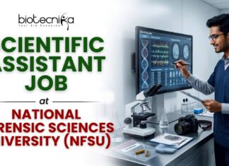 Scientific Assistant Job at National Forensic Sciences University (NFSU) | Earn ₹47,400/Month Scientific Assistant Job at National Forensic Sciences University (NFSU) | Earn ₹47,400/Month