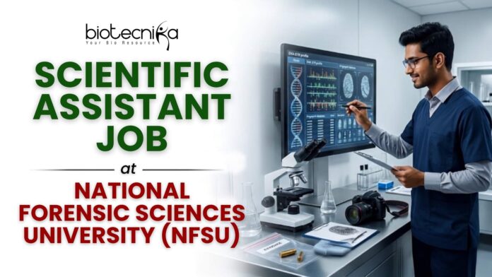 Scientific Assistant Job at National Forensic Sciences University (NFSU) Earn ₹47,400Month Scientific Assistant Job at National Forensic Sciences University (NFSU) | Earn ₹47,400/Month