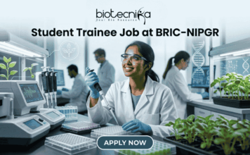 Student Trainee Job for Biotechnology & Life Science Students at BRIC-NIPGR Student Trainee Job for Biotechnology & Life Science Students at BRIC-NIPGR. A corporate-style job featured image banner (1280x720) for "Student Trainee Job at BRIC-NIPGR" featuring the Biotecnika CRO logo at the top center. The background showcases a realistic, high-tech plant biology research laboratory. A smiling young Indian female student trainee wearing a white lab coat, safety goggles, and blue gloves is using a pipette over a well plate. Trays of green plant seedlings are arranged on the lab counter alongside modern equipment, with other researchers working in the background. A clean, dark teal "APPLY NOW" button is centered at the bottom.