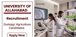 Apply for University of Allahabad Recruitment 2026. Govt Zoology Research Jobs under ICMR project with ₹28,000 plus HRA.