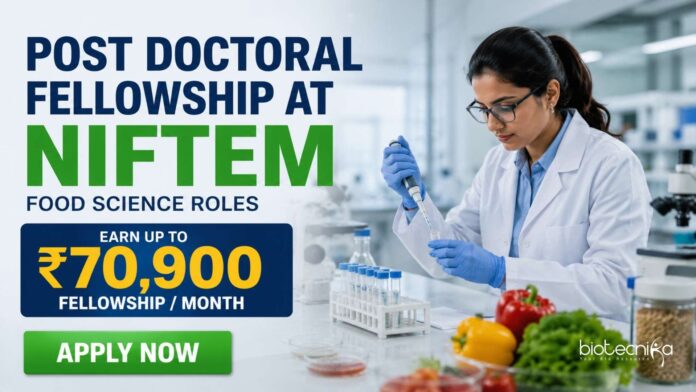 Food Science Jobs at NIFTEM | Candidates Apply Now Food Science Jobs at NIFTEM | Candidates Apply Now