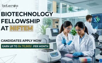 NIFTEM Careers 2026: Post-Doctoral Fellowship Opportunity in Biotechnology – Apply Now! Biotechnology Fellowship at NIFTEM | Candidates Apply Now