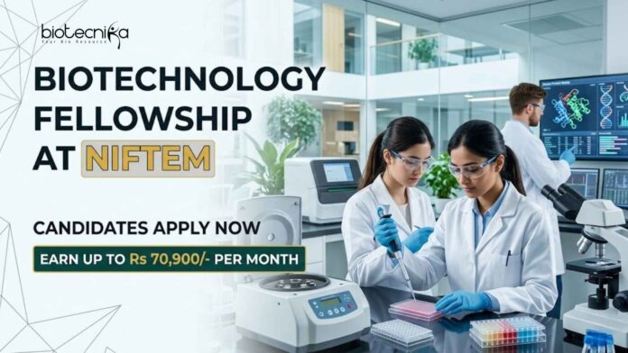 Biotechnology Fellowship at NIFTEM | Candidates Apply Now Biotechnology Fellowship at NIFTEM | Candidates Apply Now