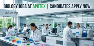 Apotex Careers 2026: Senior Executive – New Product Development | Biology Jobs Biology Jobs at Apotex | Candidates Apply Now