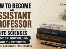 How to become an assistant professor