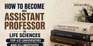 How to become an assistant professor