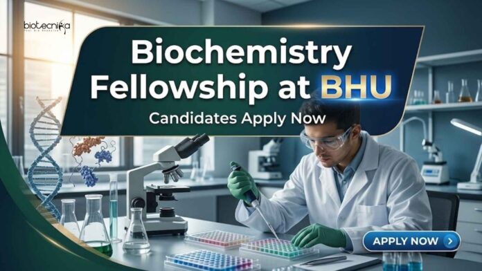 Biochemistry Fellowship at BHU | Candidates Apply Now Biochemistry Fellowship at BHU | Candidates Apply Now