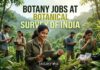 Botany Project Assistant Jobs 2026 at Botanical Survey of India Botany Jobs at Botanical Survey of India | Candidates Apply Now
