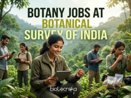 Botany Project Assistant Jobs 2026 at Botanical Survey of India Botany Jobs at Botanical Survey of India | Candidates Apply Now