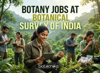 Botany Project Assistant Jobs 2026 at Botanical Survey of India Botany Jobs at Botanical Survey of India | Candidates Apply Now