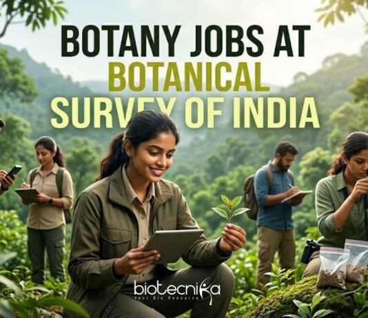 Botany Project Assistant Jobs 2026 at Botanical Survey of India Botany Jobs at Botanical Survey of India | Candidates Apply Now