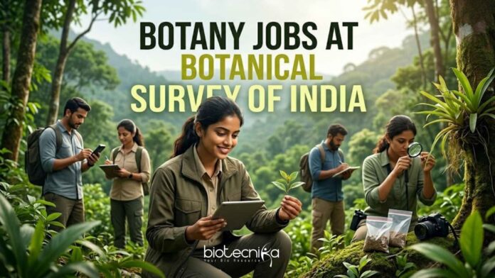 Botany Jobs at Botanical Survey of India | Candidates Apply Now Botany Jobs at Botanical Survey of India | Candidates Apply Now