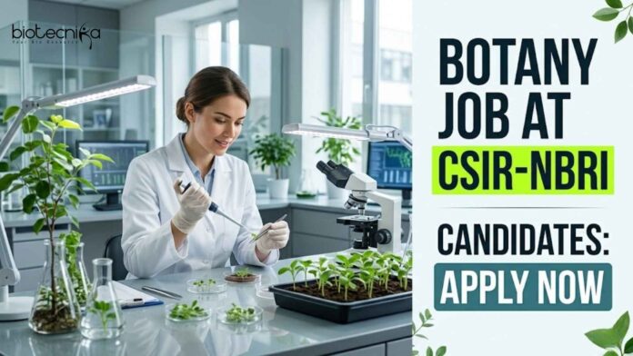 Botany Job at CSIR-NBRI | Candidates Apply Now Botany Job at CSIR-NBRI | Candidates Apply Now