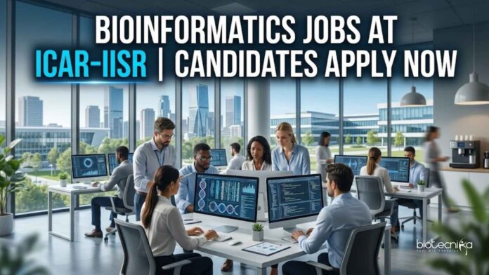 Bioinformatics Jobs at ICAR-IISR | Candidates Apply Now Bioinformatics Jobs at ICAR-IISR | Candidates Apply Now