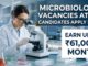 Upto ₹66,490 per month Salary at IIT | Microbiology & Virology Research Jobs 2026 Microbiology Vacancies at IIT | Candidates Apply Now