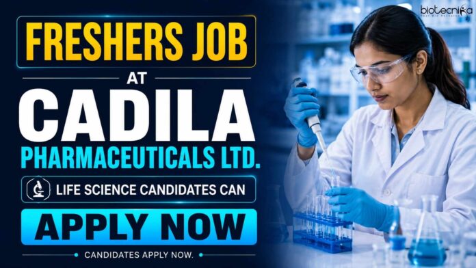 Life Science Freshers Job at Cadila | Candidates Apply Now Life Science Freshers Job at Cadila | Candidates Apply Now