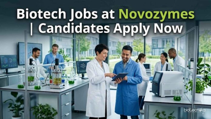 Biotech Jobs at Novozymes | Candidates Apply Now Biotech Jobs at Novozymes | Candidates Apply Now