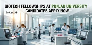Biotech Fellowships at Punjab University | Candidates Apply Now