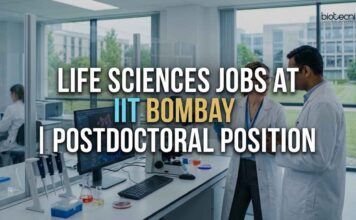 IIT Bombay Postdoctoral Position in Synthetic Biology | Molecular Biology Jobs – Apply Now Life Sciences Jobs at IIT Bombay | Postdoctoral Position