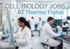 Cell Biology Jobs at Thermo Fisher | Candidates Apply Now