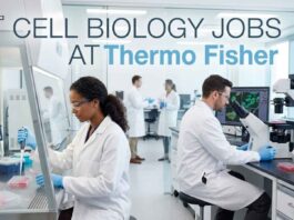 Cell Biology Jobs at Thermo Fisher | Candidates Apply Now