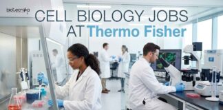 Cell Biology Jobs at Thermo Fisher | Candidates Apply Now