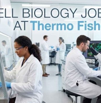 Thermo Fisher Cell Biology Jobs in Bangalore | Scientist Opening | Entry-Level Role Cell Biology Jobs at Thermo Fisher | Candidates Apply Now