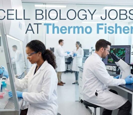 Cell Biology Jobs at Thermo Fisher | Candidates Apply Now
