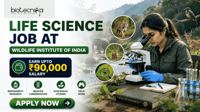 Wildlife Institute of India Recuitment 2026 Life Science Job with ₹90,000 Salary – Apply Before Deadline! Wildlife Institute of India Recuitment 2026 Life Science Job with ₹90,000 Salary – Apply Before Deadline! Featured banner for “Life Science Job at Wildlife Institute of India” featuring the Biotecnika logo at the top, a wildlife researcher conducting field-based biological research with a microscope in a natural forest setting, wildlife visuals including animals and biodiversity elements, a salary highlight showing “Earn Upto ₹90,000,” conservation and ecological research-themed graphics, and a bold “Apply Now” button at the bottom.