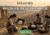 Wildlife Research Job 2026: Earn Up to ₹42,000/Month While Exploring Kaimoor Wildlife Sanctuary! Wildlife Research Job 2026 Earn Up to ₹42,000Month While Exploring Kaimoor Wildlife Sanctuary! Apply for a Research Job at Kaimoor Wildlife Sanctuary, Uttar Pradesh. Opportunities available for JRF, Project Associate, & more.