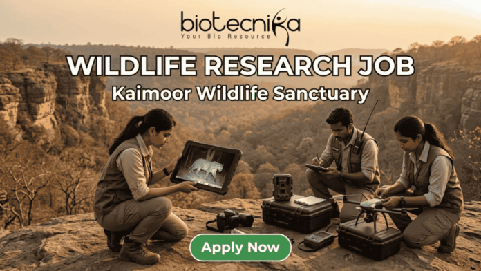 Wildlife Research Job 2026 Earn Up to ₹42,000Month While Exploring Kaimoor Wildlife Sanctuary! Wildlife Research Job 2026 Earn Up to ₹42,000Month While Exploring Kaimoor Wildlife Sanctuary! Apply for a Research Job at Kaimoor Wildlife Sanctuary, Uttar Pradesh. Opportunities available for JRF, Project Associate, & more.