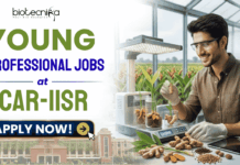 Young Professional Jobs at ICAR-IISR | Biotech & Bioinformatics Experts Earn ₹42,000/Month! Young Professional Jobs at ICAR-IISR | Biotech & Bioinformatics Experts Earn ₹42,000/Month!