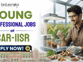 Young Professional Jobs at ICAR-IISR | Biotech & Bioinformatics Experts Earn ₹42,000/Month! Young Professional Jobs at ICAR-IISR | Biotech & Bioinformatics Experts Earn ₹42,000/Month!