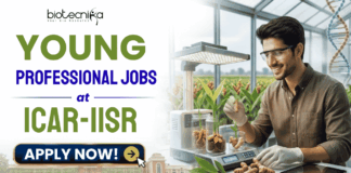 Young Professional Jobs at ICAR-IISR | Biotech & Bioinformatics Experts Earn ₹42,000/Month! Young Professional Jobs at ICAR-IISR | Biotech & Bioinformatics Experts Earn ₹42,000/Month!