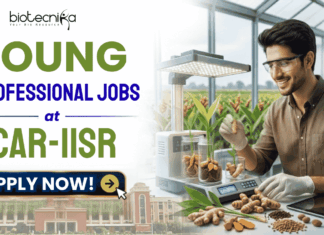 Young Professional Jobs at ICAR-IISR | Biotech & Bioinformatics Experts Earn ₹42,000/Month! Young Professional Jobs at ICAR-IISR | Biotech & Bioinformatics Experts Earn ₹42,000/Month!