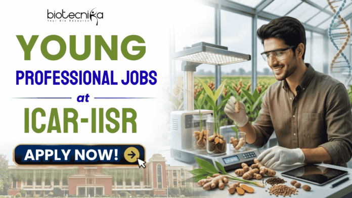 Young Professional Jobs at ICAR-IISR Biotech & Bioinformatics Experts Earn ₹42,000Month! Young Professional Jobs at ICAR-IISR | Biotech & Bioinformatics Experts Earn ₹42,000/Month!