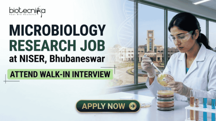 ₹30,000Month Microbiology Research Job at NISER Attend Walk-In Interview ₹30,000Month Microbiology Research Job at NISER Attend Walk-In Interview