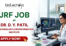 ₹37,000 + HRA Junior Research Fellow Job at Dr. D. Y. Patil Biotechnology and Bioinformatics Institute ₹37,000 + HRA Junior Research Fellow Job at Dr. D. Y. Patil Biotechnology and Bioinformatics Institute
